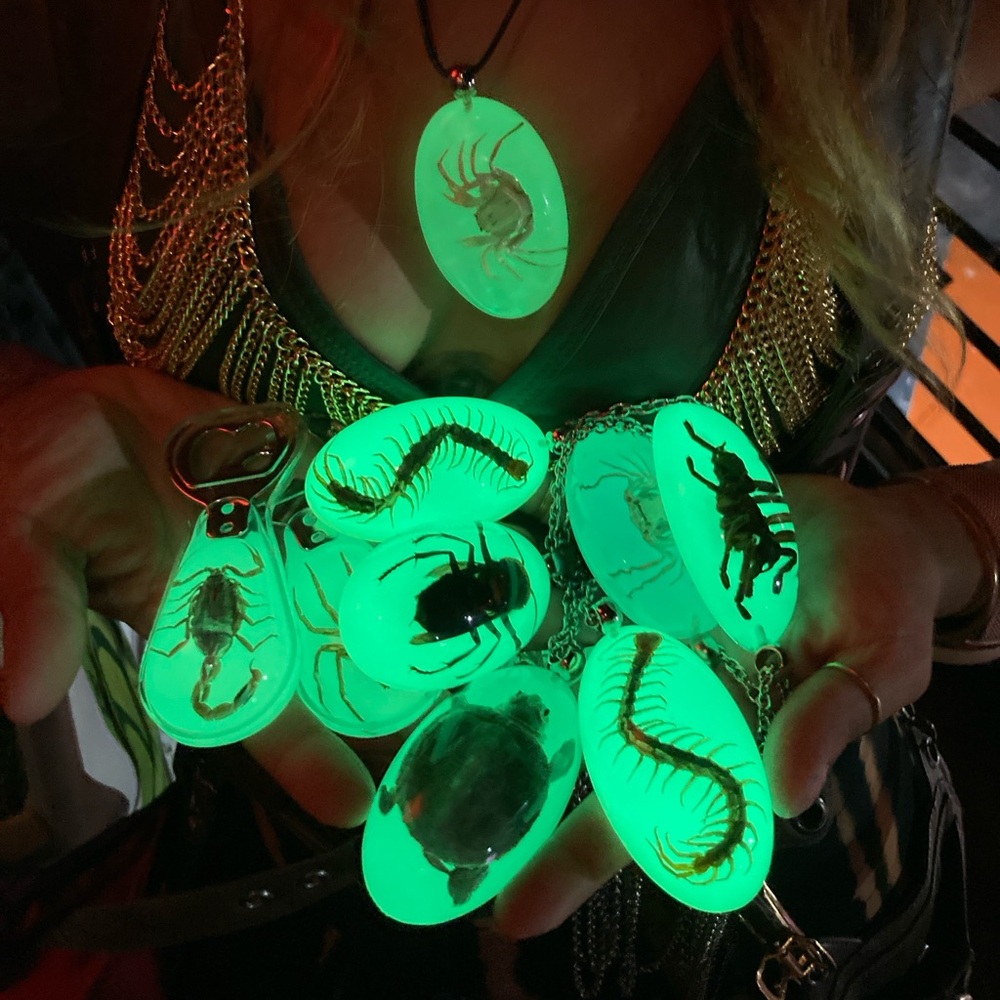 Glow in the Dark X-Large Resin Asian Hornet Real Insect Taxidermy Specimen Neck